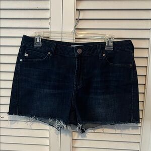 Dear John Dark Blue Jean Shorts